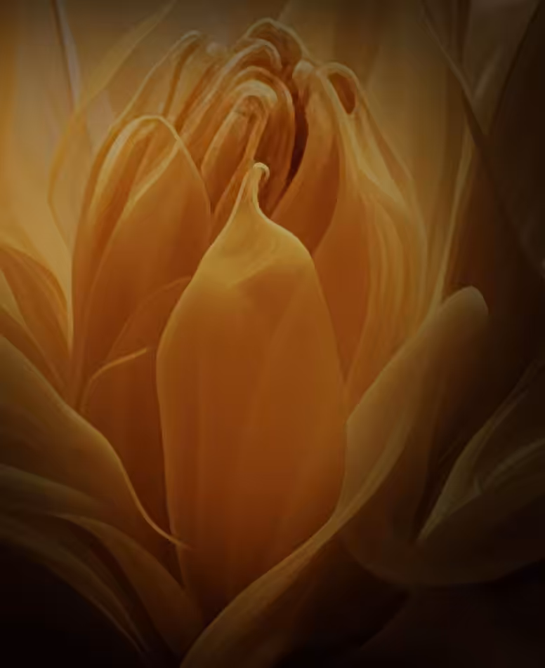 plastiki perineou2500x1400 1
